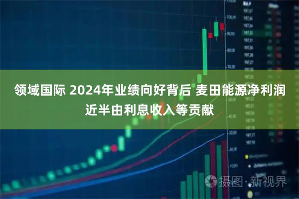 领域国际 2024年业绩向好背后 麦田能源净利润近半由利息收入等贡献