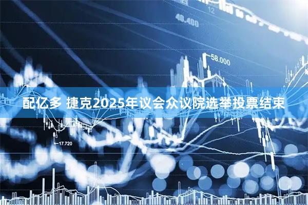 配亿多 捷克2025年议会众议院选举投票结束