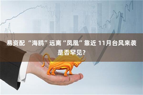 易资配 “海鸥”远离“凤凰”靠近 11月台风来袭是否罕见？
