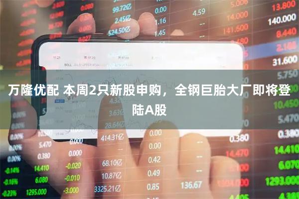 万隆优配 本周2只新股申购，全钢巨胎大厂即将登陆A股